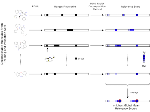 Workflow for identifying potential toxicophores, taken from Webel, 2020. The first arrow describes the transformation from the molecules in the training and validation sets into 2048 long binary vector describing the Morgan fingerprints of radius 2, using RDKit. Each bit represents one (or more) atom environment(s). The black box indicates if the corresponding atom environment is present in the molecule. The second arrow shows that relevance scores can be obtained for each compound using the Deep Taylor Decomposition method. Once all relevance scores are computed for each decomposable molecule, they are averaged. The bits corresponding to the k-highest global mean relevance scores are stored and used for further analysis as potential toxicophores.