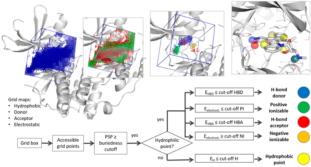 T²F-Pharm allows to generate pharmacophore models from apo binding sites by extracting energy hot spots for important pharmacophoric features (figure taken from Mortier, 2018).